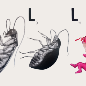 InsectumNonGrata by Hilman Hendarsyah